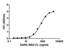 Product Element Image